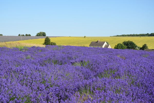 Tewkesbury - The wider area