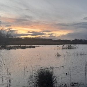 Floodplain Nature Reserve Flooding Walk