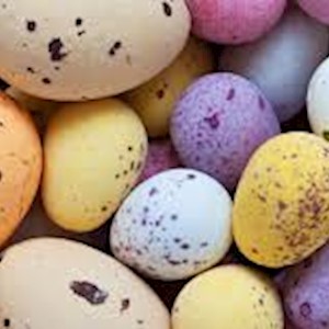 Easter 2024 events in & around Tewkesbury